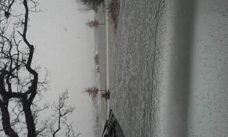20131203_122932.jpg