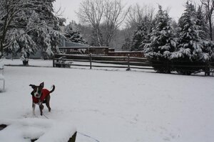 IMG_8010.jpg