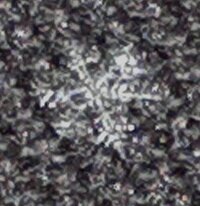 2014-02-06-1330 - Crop.jpg