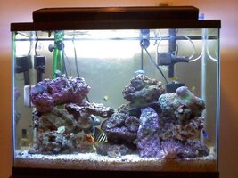 aquarium full view.jpg