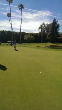 IMAG0761.jpg