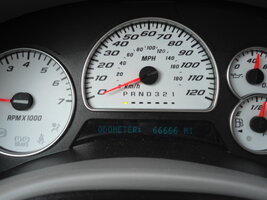 speedo 66666 001.jpg