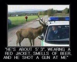 moose &amp; cop.jpeg