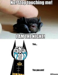 Funny-MEME-Batman.jpg