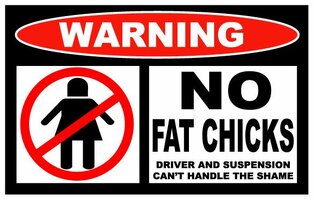 no_fat_chicks_funny_warning_sticker__47744.jpg