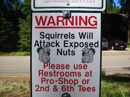 squirrels golf.JPG