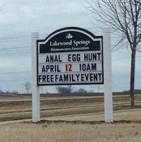 anal egg.jpg