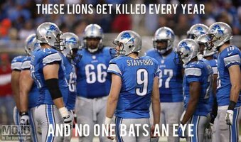 must-see-imagery-lions-football-meme.jpg
