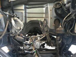 IMG_6283.1.jpg