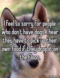 sorry-for-people-no-dogs.jpg
