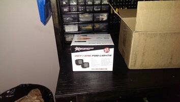 IMAG0497.jpg