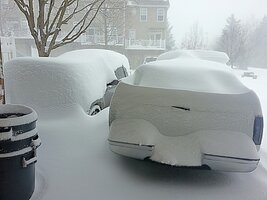 IMG_20160123_125620.jpg