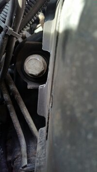 20160131_142429.jpeg