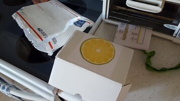 20160229_150452.jpg