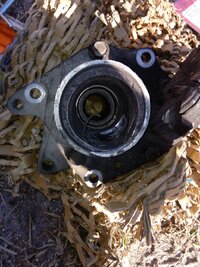 IMG_20160306_1646343_rewind.jpg IMG_20160306_1646343_rewind.jpg
