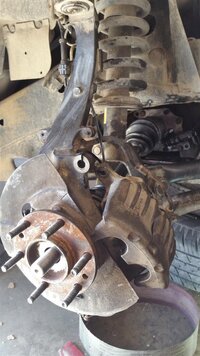 20160308_113005 (Medium).jpg 20160308_113005 (Medium).jpg