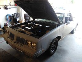 IMG_20160410_185647.jpg