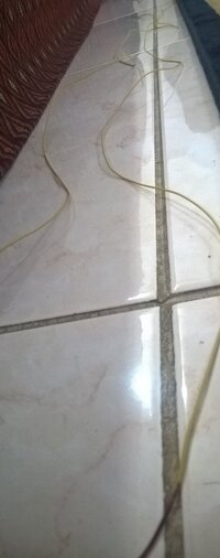 Wiring 1.jpg