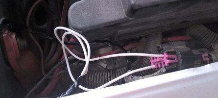 WP_20160519_14_50_11_Pro_LI (2).jpg