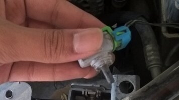 WP_20160519_14_30_57_Pro_LI (2).jpg