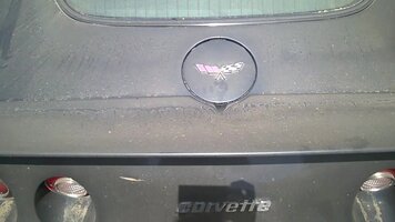 WP_20160531_13_49_06_Moment.jpg WP_20160531_13_49_06_Moment.jpg