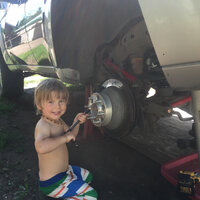 ollie helping.jpg