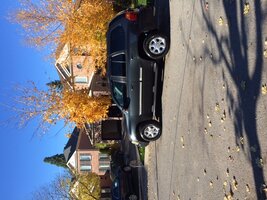 IMG_0208.JPG