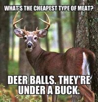 deer balls.jpg