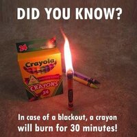 Image 1-5-17 at 10.12 AM.jpg