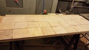 20170228_095144.jpg