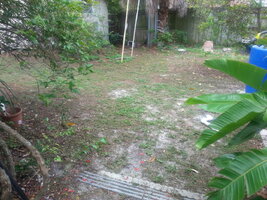 IMG_20170610_140456.jpg