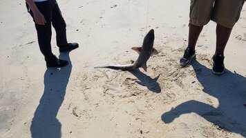 20170610_152153.jpg