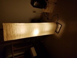20170615_224713.jpg