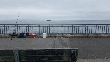 20170616_103621.jpg