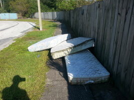 IMG_20170925_165851.jpg IMG_20170925_165851.jpg