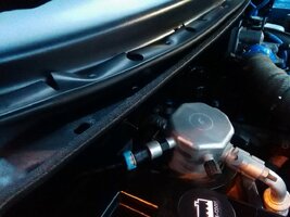 IMG_20171007_191551.jpg