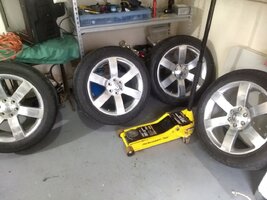 IMG_20171011_071152.jpg