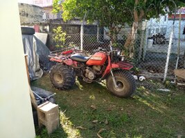 IMG_20171105_073348.jpg