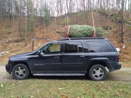 IMG_20171118_121425186.jpg