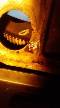 20171203_170042_inspectn2.jpg