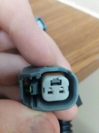 IMG_20171207_011743.jpg
