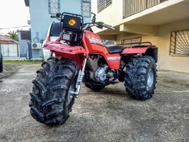 IMG_20171227_063133.jpg