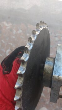 IMG_20180106_130750692.jpg