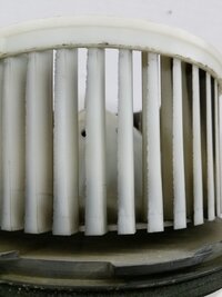 20180312_124231.jpg