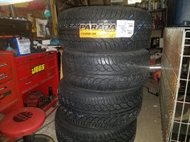 20180411_061338.jpg