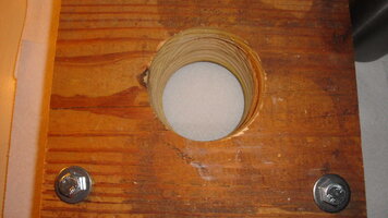 DSC02099.jpg