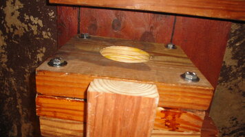 DSC02112.jpg