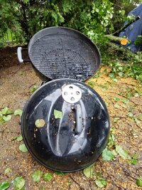 tree damage 2.jpg
