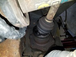 20180526_111422.jpg