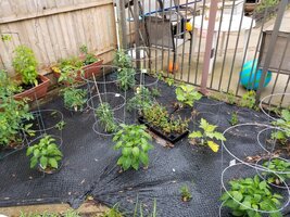 20180623_091635.jpg